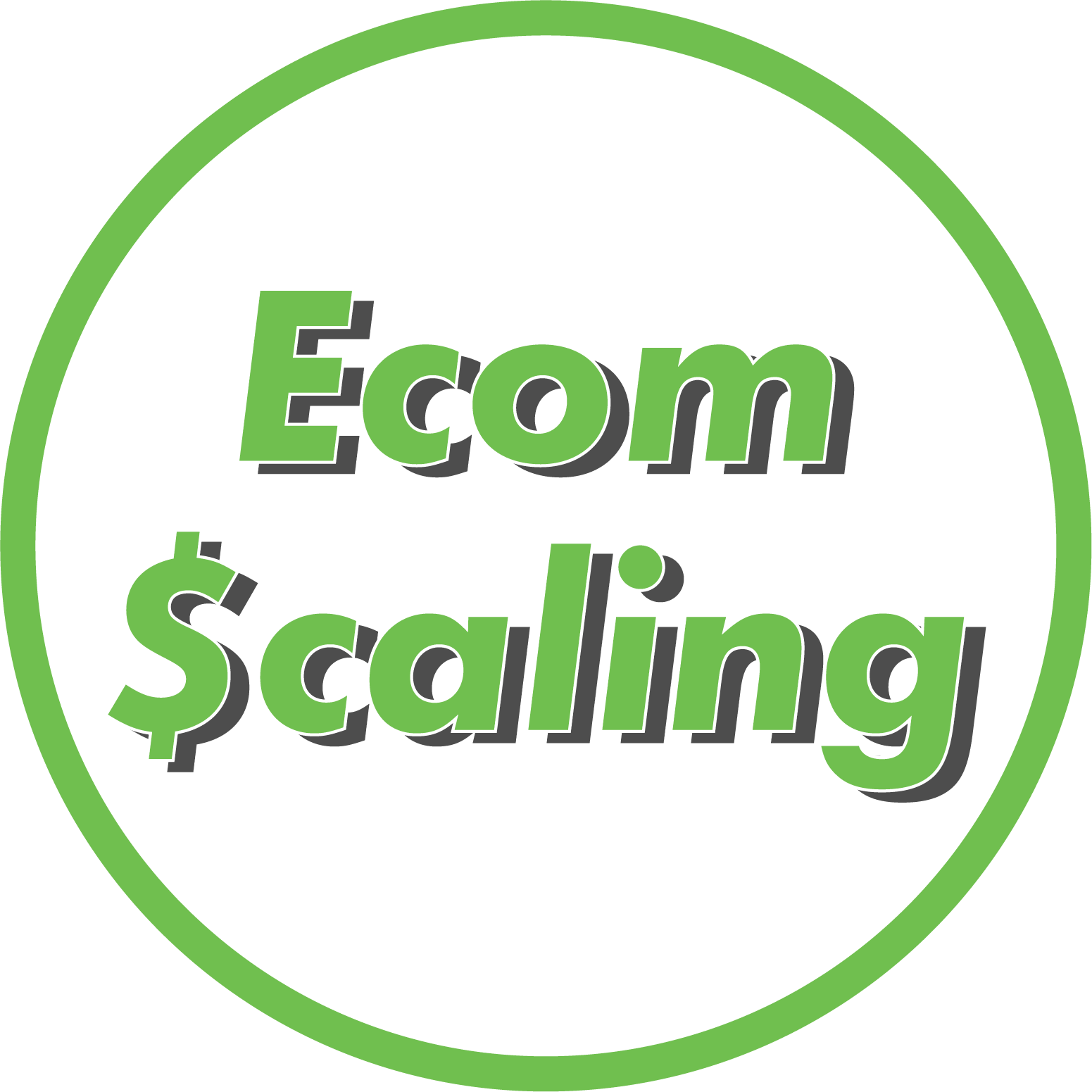 Ecom Scaling Agency